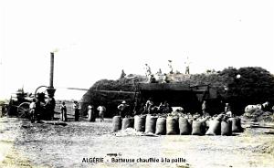 1745- Algerie - Batteuse chauffee a la paille